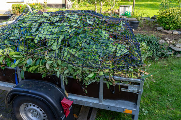 Best Shed Removal  in Erwin, TN